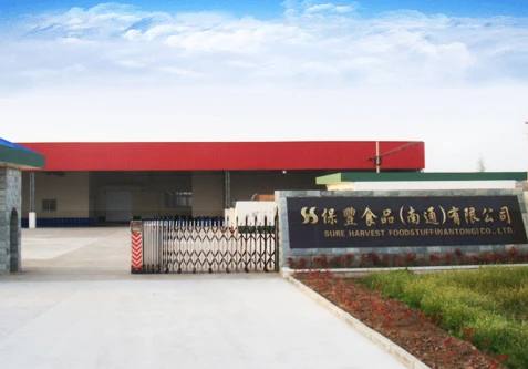 About Our Company