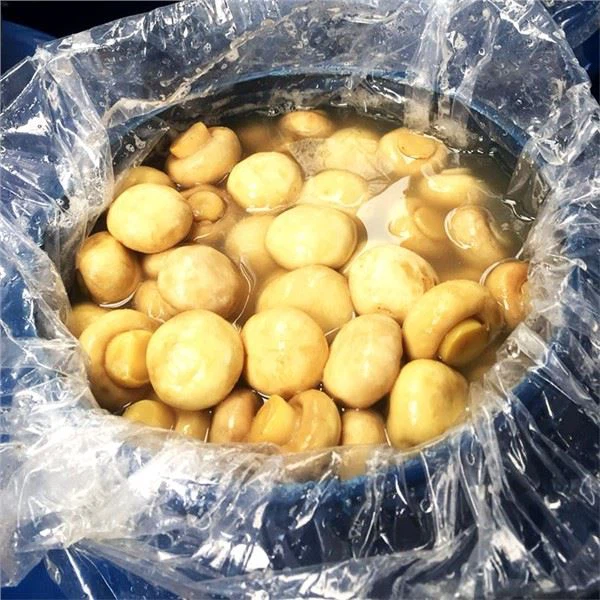 آیا می‌توانم از قارچ‌های موجود در آب نمک برای تهیه سس پیتزای قارچ استفاده کنم؟