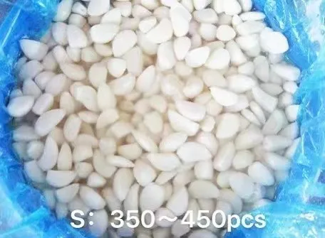 Chinese Garlic in Brine in Barrel